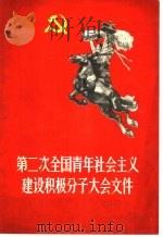 第二次全国青年社会主义建设积极分子大会文件   1958  PDF电子版封面  3009·121  中国青年出版社 