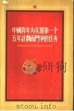 中国青年为实现第一个五年计划而斗争的任务  全国青年社会主义建设积极分子大会文献（1955 PDF版）