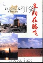 江淮文史  阜阳在腾飞   1995  PDF电子版封面    《江淮文史》编委会编 