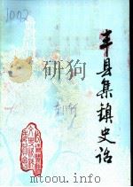 丰县文史资料  第11辑  丰县集镇史话（1993 PDF版）