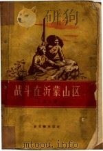战斗在沂蒙山区   1956  PDF电子版封面    王安友著 
