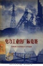 电力工业的厂际竞赛   1956  PDF电子版封面  3007·89  中国电业工会全国委员会生产部编著 