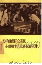 怎样组织群众实现小组和个人竞赛保证条件   1956  PDF电子版封面  3007·46  王伯泉编著 