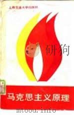 马克思主义原理   1989  PDF电子版封面  7313005237  朱奎保，范竹增等主编 