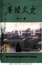 苍梧文史  第10辑（1996 PDF版）