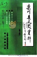栾川文史资料  第10辑（1999 PDF版）