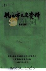 巩义市文史资料  第17辑   1995  PDF电子版封面    中国人民政治协商会议巩义市委员会文史资料研究委员会编印 