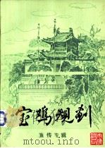 宝鸡规划  宣传专辑  第1辑   1984  PDF电子版封面    宝鸡市城乡建设环境保护局 