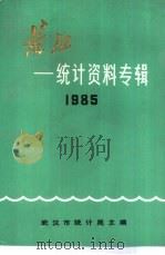 长江-统计资料专辑  1985   1986  PDF电子版封面    武汉市统计局主编 