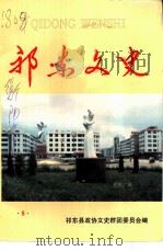 祁东文史  第8辑  曹炎烈士专辑（1999 PDF版）