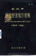 武汉市国民经济统计资料  固定资产投资、建筑安装企业、城市公用事业  1949-1981（ PDF版）