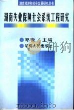 湖南失业保障社会系统工程研究   1999  PDF电子版封面  7543819791  邓微主编 