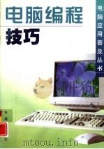 电脑编程技巧   1997  PDF电子版封面  7508205529  张永平，朱亚兴编著 