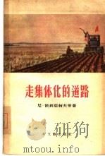 走集体化的道路  短篇小说集   1956  PDF电子版封面  10078·972  （苏）伊利亚柯夫著；朱嘉译 