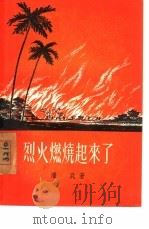烈火燃烧起来了   1957  PDF电子版封面  10078·1292  （越）潘武（Phan Vu）著；金英译 