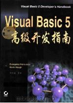 Visual Basic5 高级开发指南     PDF电子版封面     