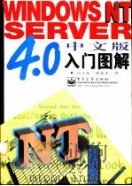 Windows NT Server 4.0中文版入门图解   1997  PDF电子版封面  7505342231  宫士友，张宏义编著 