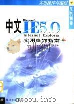 中文IE 5.0实用操作指南（1998 PDF版）