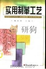 实用制革工艺   1999  PDF电子版封面  750192421X  魏世林主编 