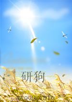 台湾新文学运动四十年     PDF电子版封面    彭瑞金著 