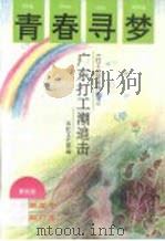 青春寻梦  广东打工潮追击   1992  PDF电子版封面  7805425469   