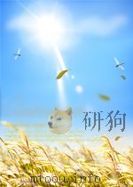 中国国际私法与比较法年刊2001第四卷（ PDF版）