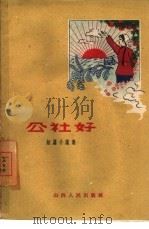 公社好  短篇小说集   1960  PDF电子版封面  10088·396  山西人民出版社编辑 