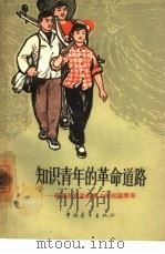 知识青年的革命道路  奋战在农业战线上的知识青年（1964 PDF版）