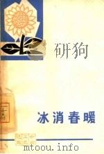 冰消春暖   1964  PDF电子版封面  10111·650  中南五史选编小组编 