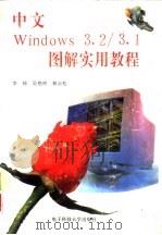 中文Windows3.2/3.1图解实用教程   1996  PDF电子版封面  7810433679  李琦等编 
