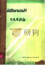 Microsoft C6.0大全   1991  PDF电子版封面  7312002927  徐为民，刘益敏等译 