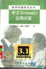 中文Windows 3.1应用问答（1996 PDF版）