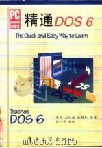 精通DOS 6（1994 PDF版）