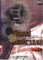 Visual Basic 5.0/6.0范例教程  专业版   1998  PDF电子版封面  7113031684  洪国胜编著 