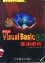 中文版Visual Basic 6.0实用编程（1999 PDF版）