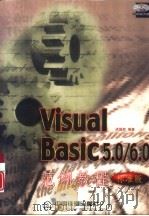 Visual Basic 5.0/6.0范例教程  标准版   1998  PDF电子版封面  7113031692  洪国胜编著 