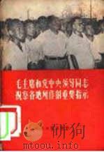 毛主席和党中央领导同志视察各地所作的重要指示（1958 PDF版）