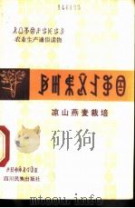 凉山燕麦栽培  彝汉文对照本（1982 PDF版）