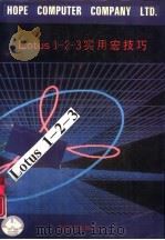 Lotus1－2－3实用宏技巧   1991  PDF电子版封面  7507708217  李妍著 