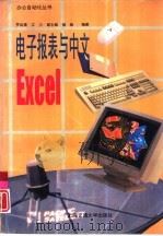 电子报表与中文Excel（1996 PDF版）