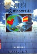 中文Windows 3.1   1994  PDF电子版封面  731301340X  谢金宝，虞琦编著 