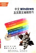 中文Windows及其图文编辑技巧（1995 PDF版）