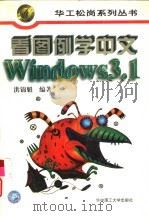 看图例学中文Windows 3.1   1997  PDF电子版封面  7560914772  洪锦魁编著 