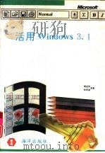 活用Windows 3.1   1993  PDF电子版封面  7502737618  萧进贤，林宏谕原著；陈朝等改编 