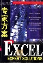 Excel专家方案   1997  PDF电子版封面  7806134689  （美）布赖恩·昂德达尔等编著；田学锋，刘冀伟等译 