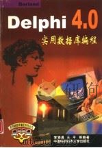 Delphi 4.0实用数据库编程   1999  PDF电子版封面  7312011179  李晓勇，王平等编著 