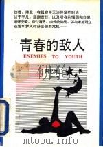 青春的敌人（1993 PDF版）