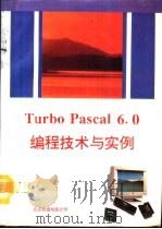 Turbo Pascal 6.0编程技术与实例   1991  PDF电子版封面    刘明，张恒编 
