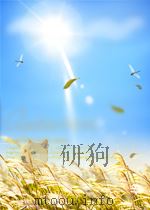 中华人民共和国国家标准 毛针织物编织密     PDF电子版封面     