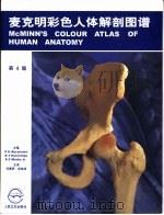 麦克明彩色人体解剖图谱  第4版   1999  PDF电子版封面  7117031867  （英）（P.H.亚伯拉罕斯）P.H.Abrahams等主编； 